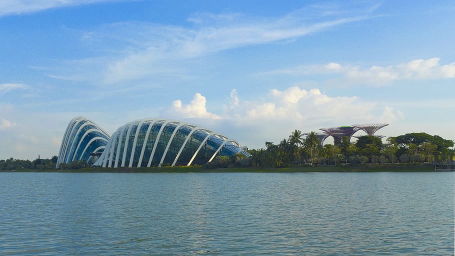 singapur, supertree, jardines junto a la bahía, sky tree, super tree, estructura construida, cielo, arquitectura, agua, frente al mar