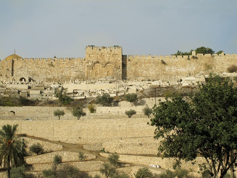 verde, árbol de hoja, castillo, durante el día, foto, Jerusalén, Israel, Ciudad Santa, ciudad, muralla de la ciudad