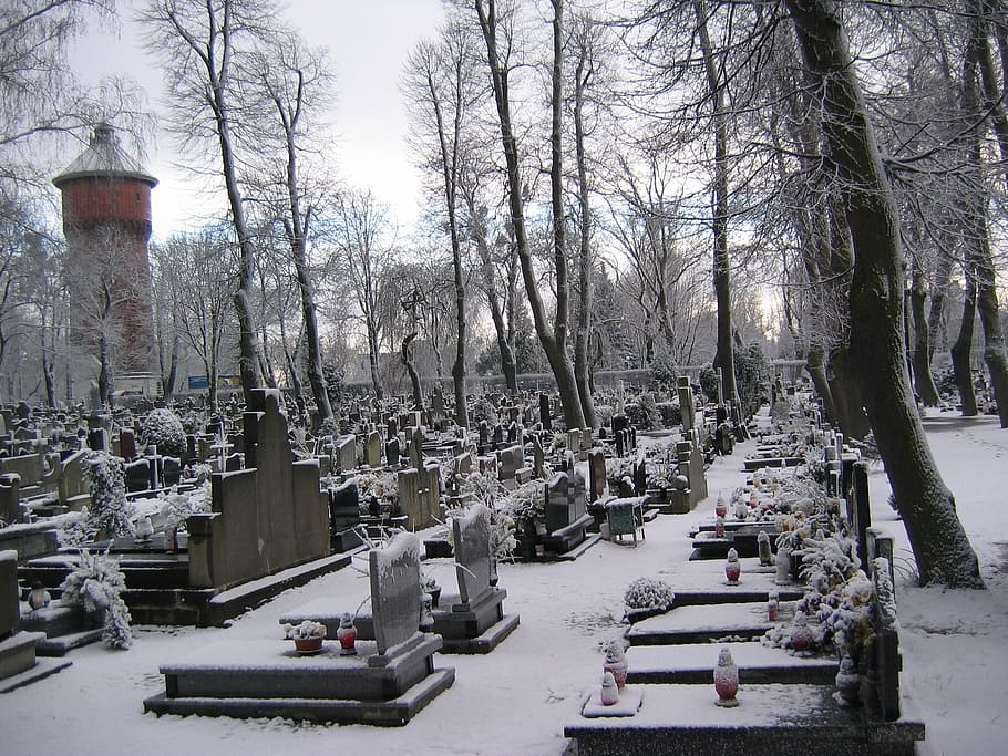 Snow, Graves, Old Cemetery, cemetery, tombstone, winter, cold temperature, war, military, tree
