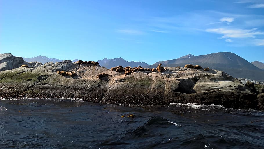canal beagle, ushuaia, tierra de fuego, montaña, paisajes - naturaleza, belleza en la naturaleza, cielo, agua, tierra, escena tranquila