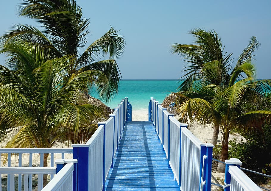 blue, white, wooden, dock, coconut trees, daytime, cuba, caribbean, sea, web