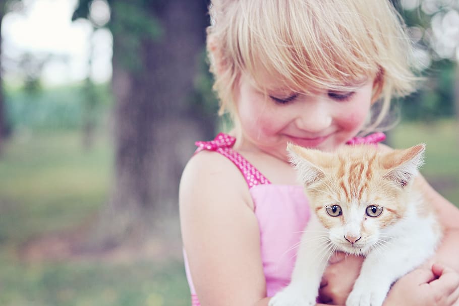 girl, holding, orange, tabby, kitten, pet, animal, child, cute, young