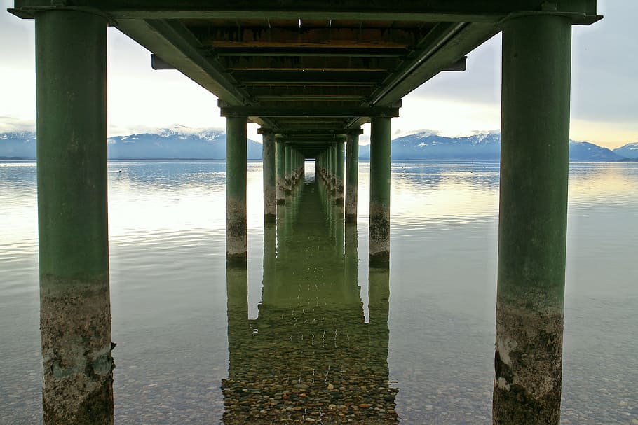 underneath, dock photo, golden, hour, bridge, web, bridge piers, pillar, stueze, support