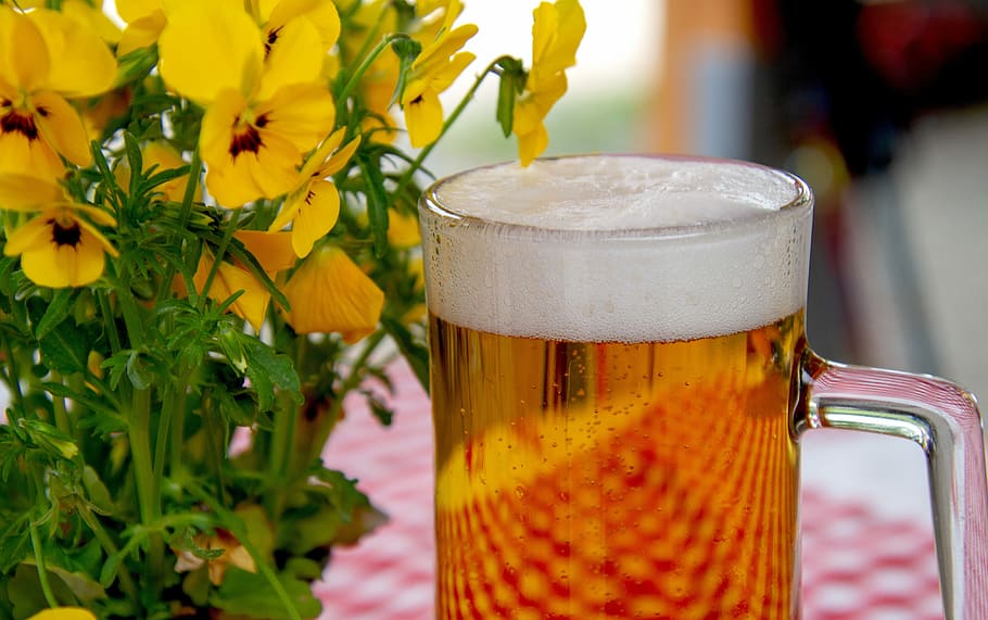 clear, beer mug, yellow, flowers, beer, glass, drink, beer garden, refreshment, thirst