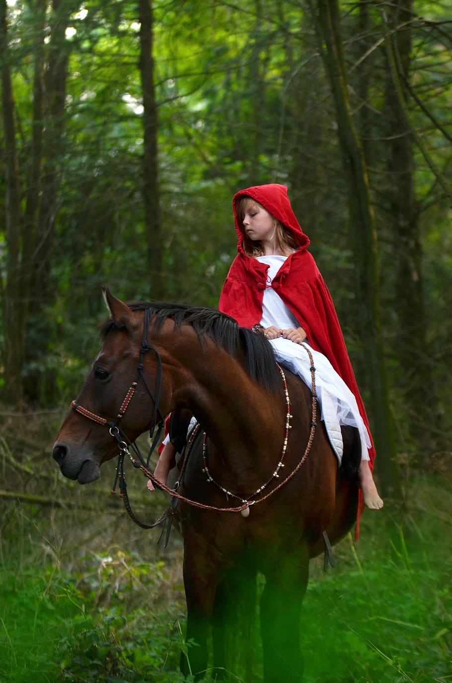 horse, horses, forest, red hood, little red riding hood, fairy tale, story teller, fantasy, nature, girl