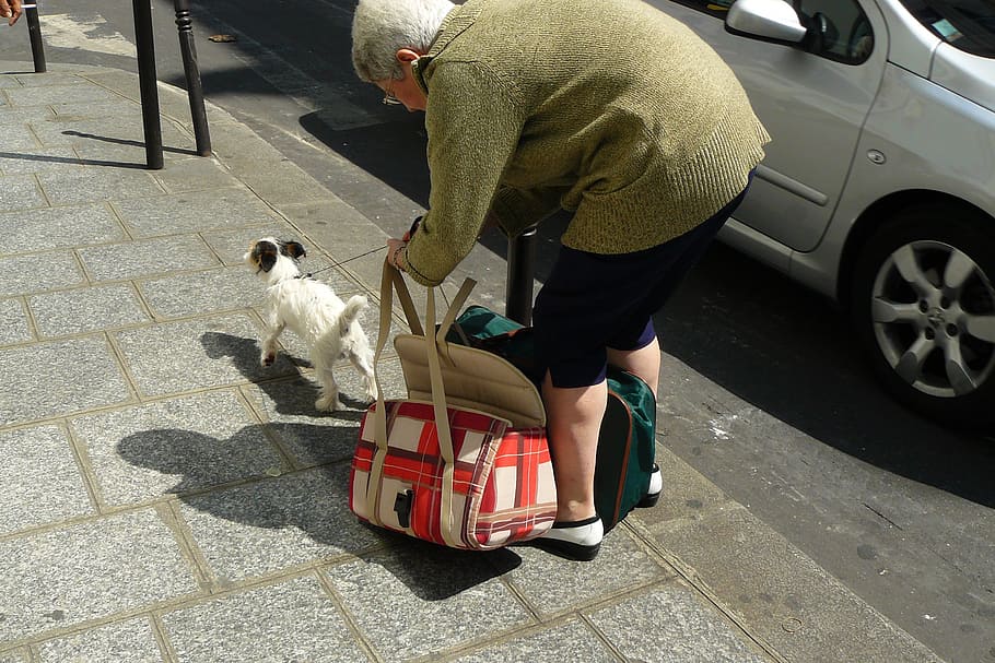 person carrying bags, woman, human, pavement, concrete slabs, sidewalk bag, dog bags, animal, city, burdensome