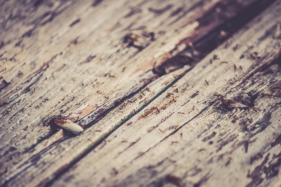 rustic, wood, texture, wood - material, textured, selective focus, full frame, close-up, backgrounds, old