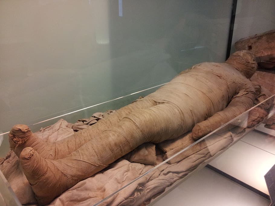 persona envuelta en textiles, museo egipcio, momia, antigüedad, comida, en interiores, sin gente, material de vidrio, vista de ángulo alto, naturaleza muerta