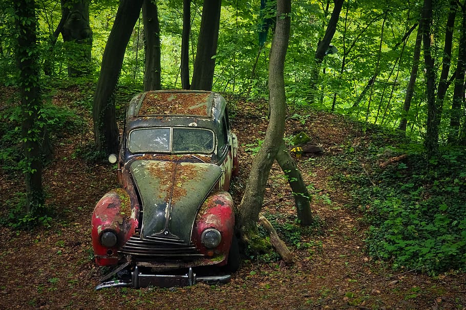 oxidado, clásico, gris, rojo, vehículo, rodeado, árboles, auto, cementerio de autos, oldtimer