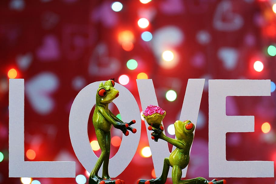 green, frog offering bouquet, flower, female, graphic, wallpaper, love, valentine's day, pair, romance