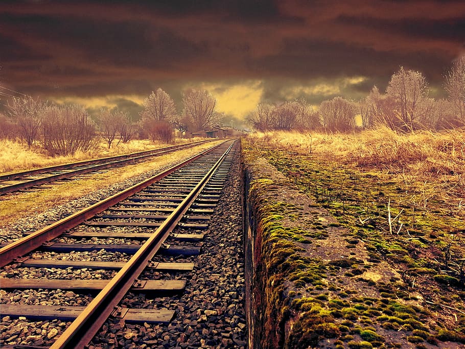 Marrón, ferrocarril de metal, árboles, ferrocarril, paisaje, transporte, clima, malhumorado, escena, vías de ferrocarril
