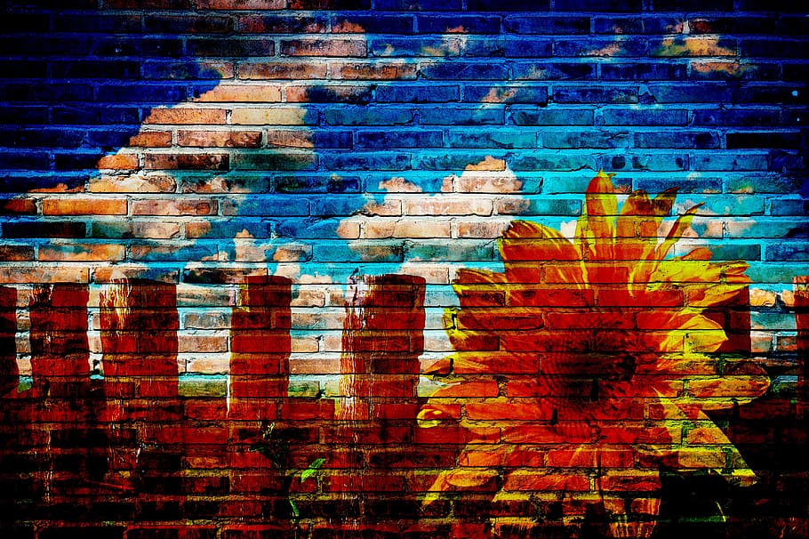 concrete, brick wall, sunflower, buildings paint, graffiti, wall, urban, spray, street, culture
