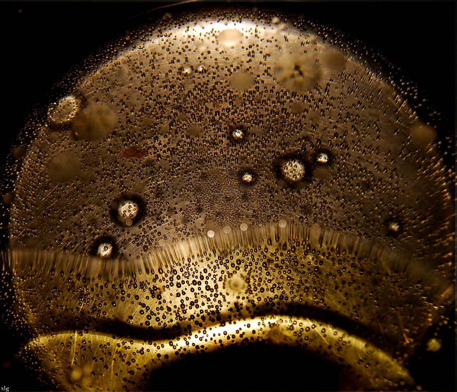 cooking water, olive oil, boiling water, abstract, close-up, water, drink, drop, refreshment, food and drink