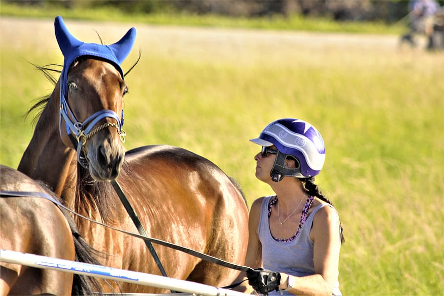 馬, 女性騎手, お互いを見つめて, レース, 不機嫌そうな, 騎手, 馬術, 競馬場, 視線の交換, 愛情