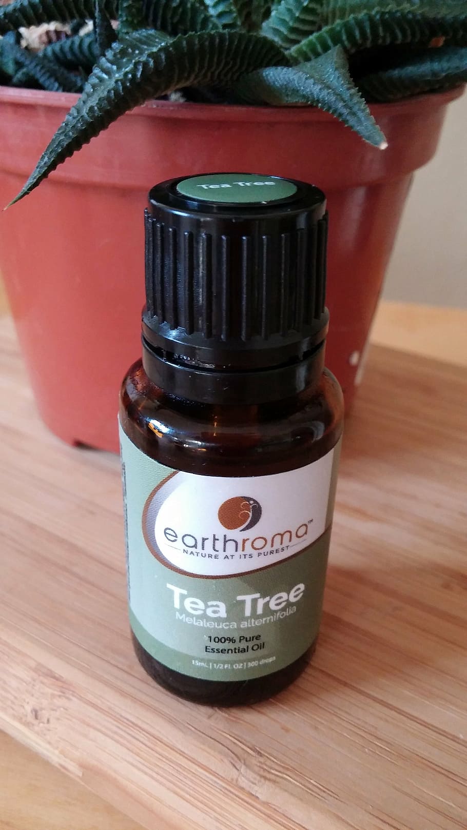 earthroma tea tree bottle, table, top, essential oil, essential, oils, bottles, aromatherapy, tea tree, tea tree oil