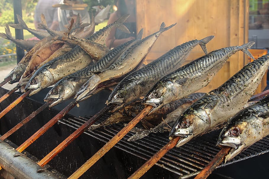 fish, trout, smoked trout, eat, smoked fish, fish head, food, fishing, food and drink, seafood
