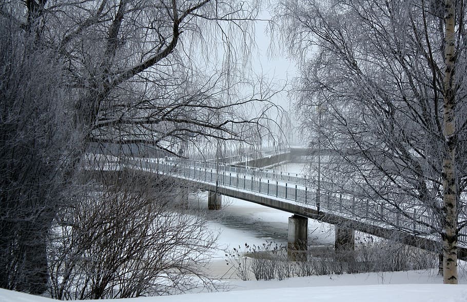 finlândia, ponte, arquitetura, rio, água, congelados, gelado, paisagem, floresta, árvores