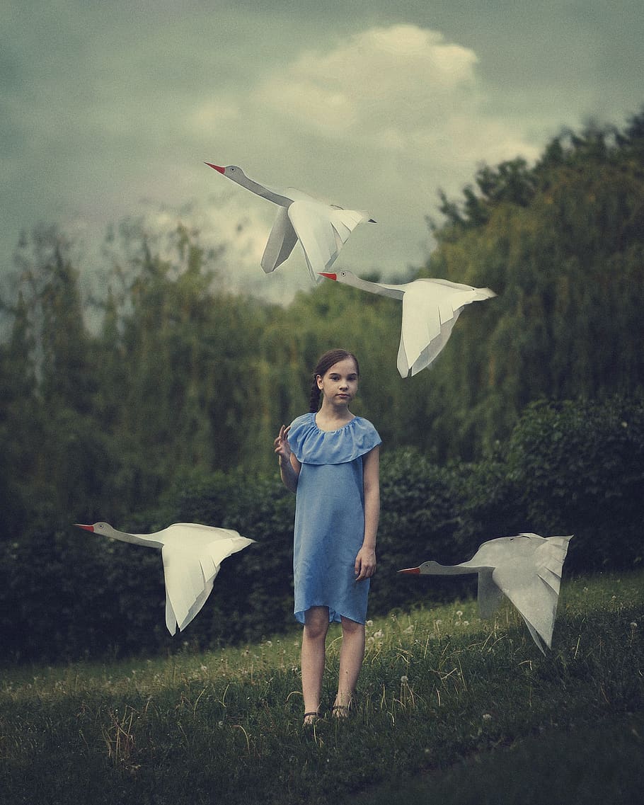 baby, girl, geese, nature, illustration, sky, swans, story, one person, plant