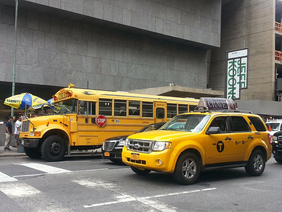nova iorque, amarelo, táxi, escola de ônibus, transporte, cidade de nova york, ônibus escolar, ônibus, veículo terrestre, carro