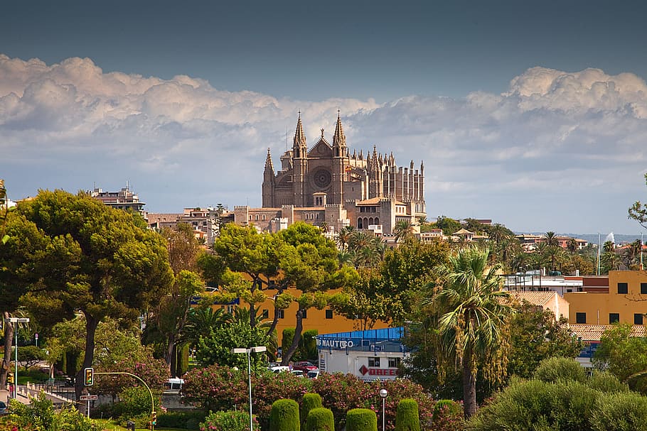 cathedral, palma, mallorca, church, spain, architecture, building, balearic islands, holiday, dom