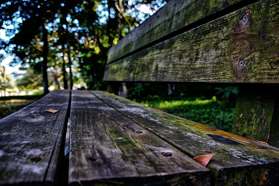 Wood, Sit, Bench, Seating, Textures, bench seating, nails, moss, carved wood, park