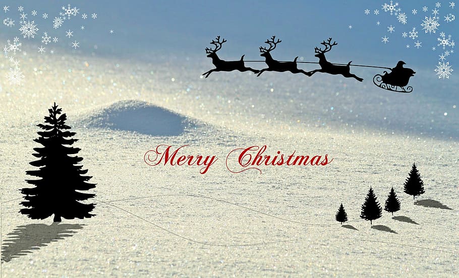 merry, christmas text illustration, christmas, christmas card, winter, snow landscape, reindeer sleigh, santa claus, christmas greetings, snow