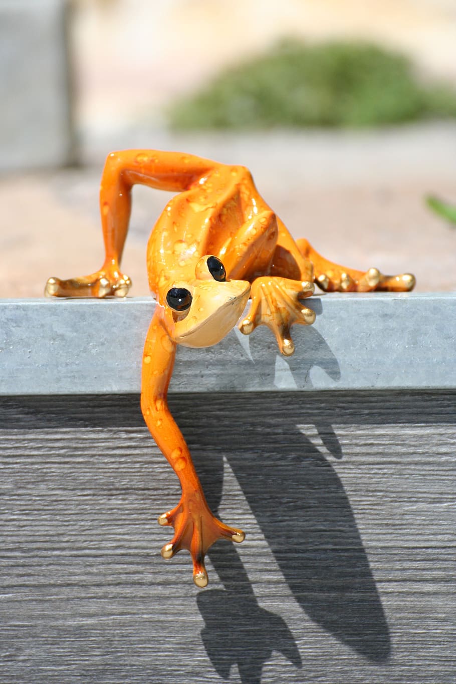 frog, depend, orange, edge, art stone, funny, figure, animal, look, watch