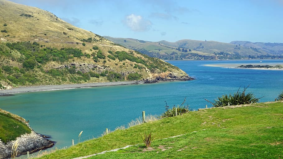 Otago, Booked, Water, Sea, Rock, landscape, new zealand, south island, scenics, nature