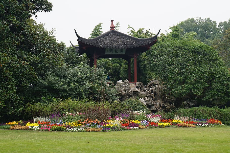 hangzou, china, garden, asia, chinese, plant, decoration, flowers, tree, built structure