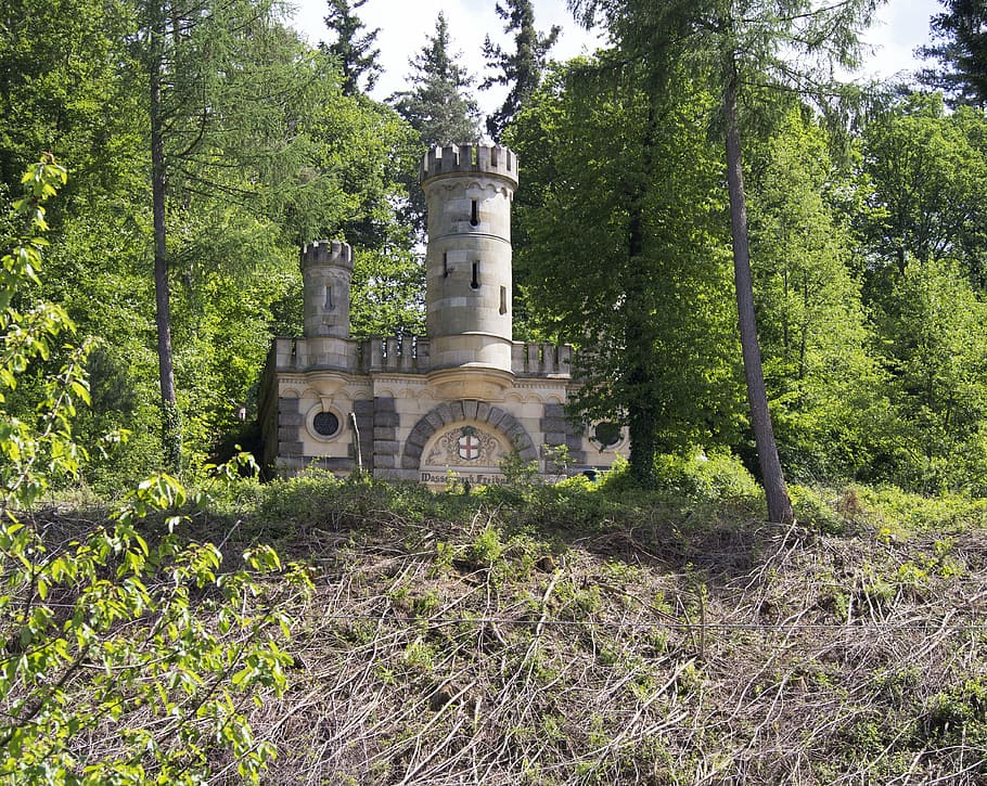 castle, waterworks, freiburg, forest, picturesque, forward, overturned, tree damage, nature, plant