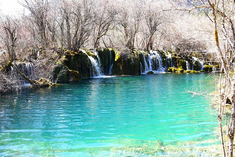 jiuzhaigou, agua, azul, verde, árbol, planta, belleza en la naturaleza, naturaleza, paisajes: naturaleza, frente al mar