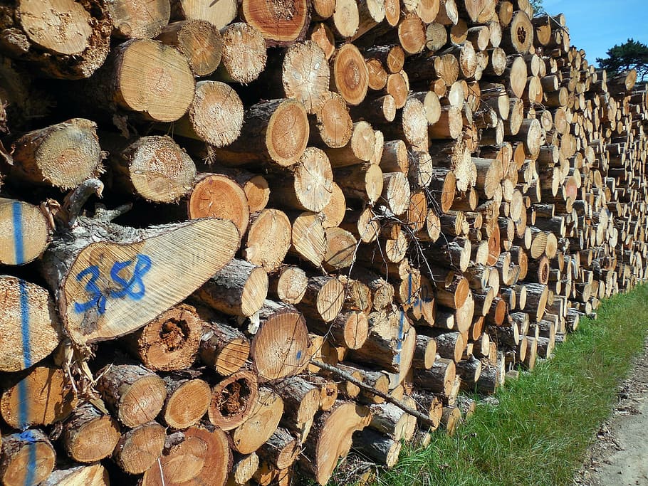 wood, tree trunks, forestry, log, timber industry, cut down, holzstapel, lumberjack, timber, strains