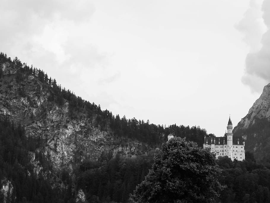 fotografía en escala de grises, castillo, montañas, escala de grises, foto, arriba, montañismo, castillo de Neuschwanstein, Baviera, Alemania