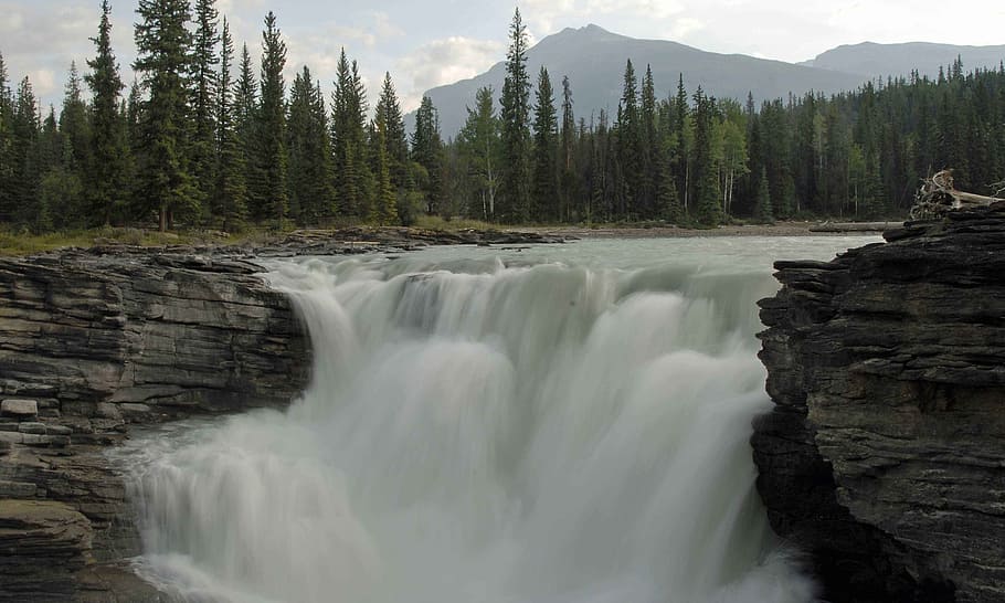 waterfalls, athabasca falls, waterfall, landscape, canadian rockies, scenic, mountain, white water, outdoors, canada