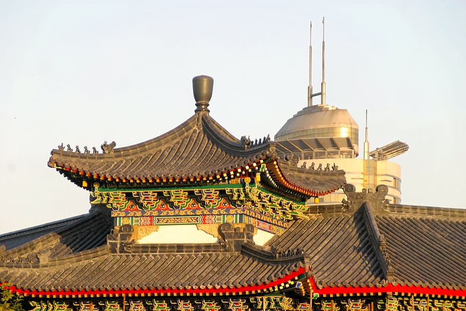 roof, china, dragon, forbidden city, architecture, beijing, palace, ornament, built structure, building exterior