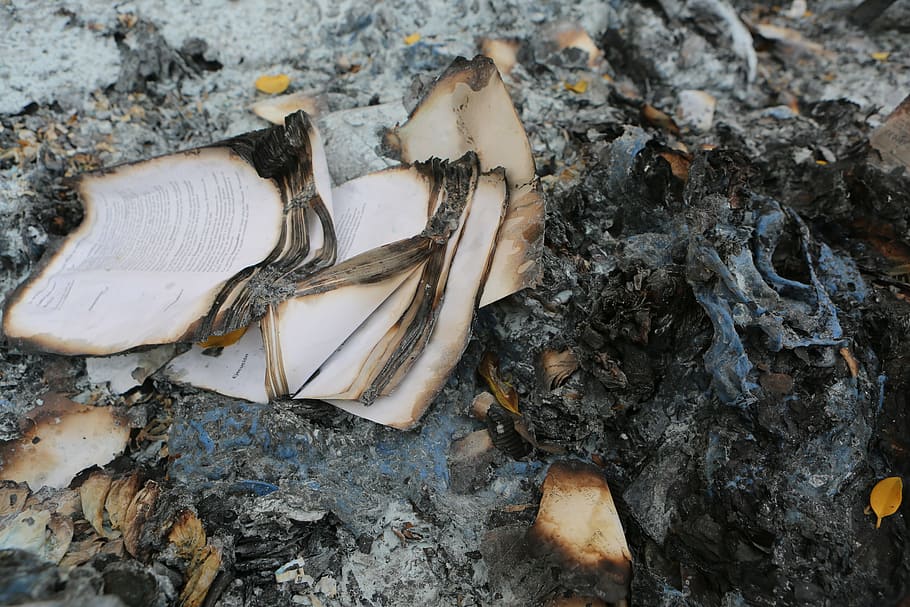 burned book pages, books, burnt, burning, ashes, fire, pages, day, outdoors, tree