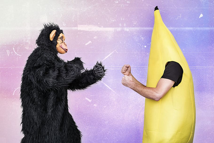 fighting, Gorilla, Banana man, animals, whimsical, lazy, monkey, banana, fight, silly