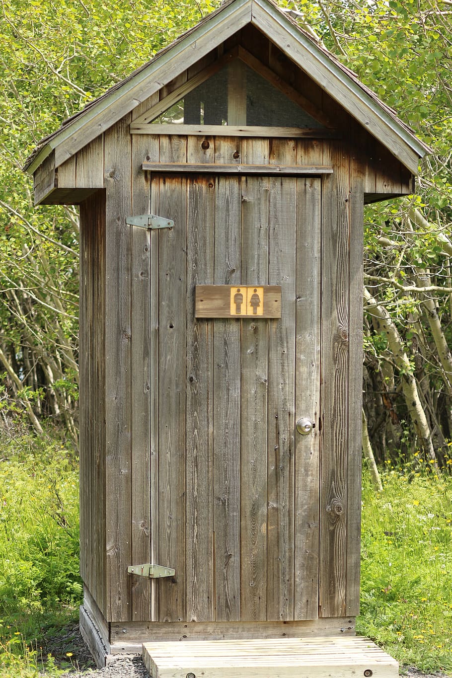 toilet, wc, funny, health, constipation, hygiene, wood - material, communication, built structure, architecture