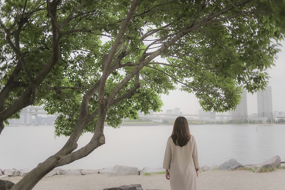 girl, lonely, japan, odaiba, tree, beach, rear view, plant, real people, lifestyles