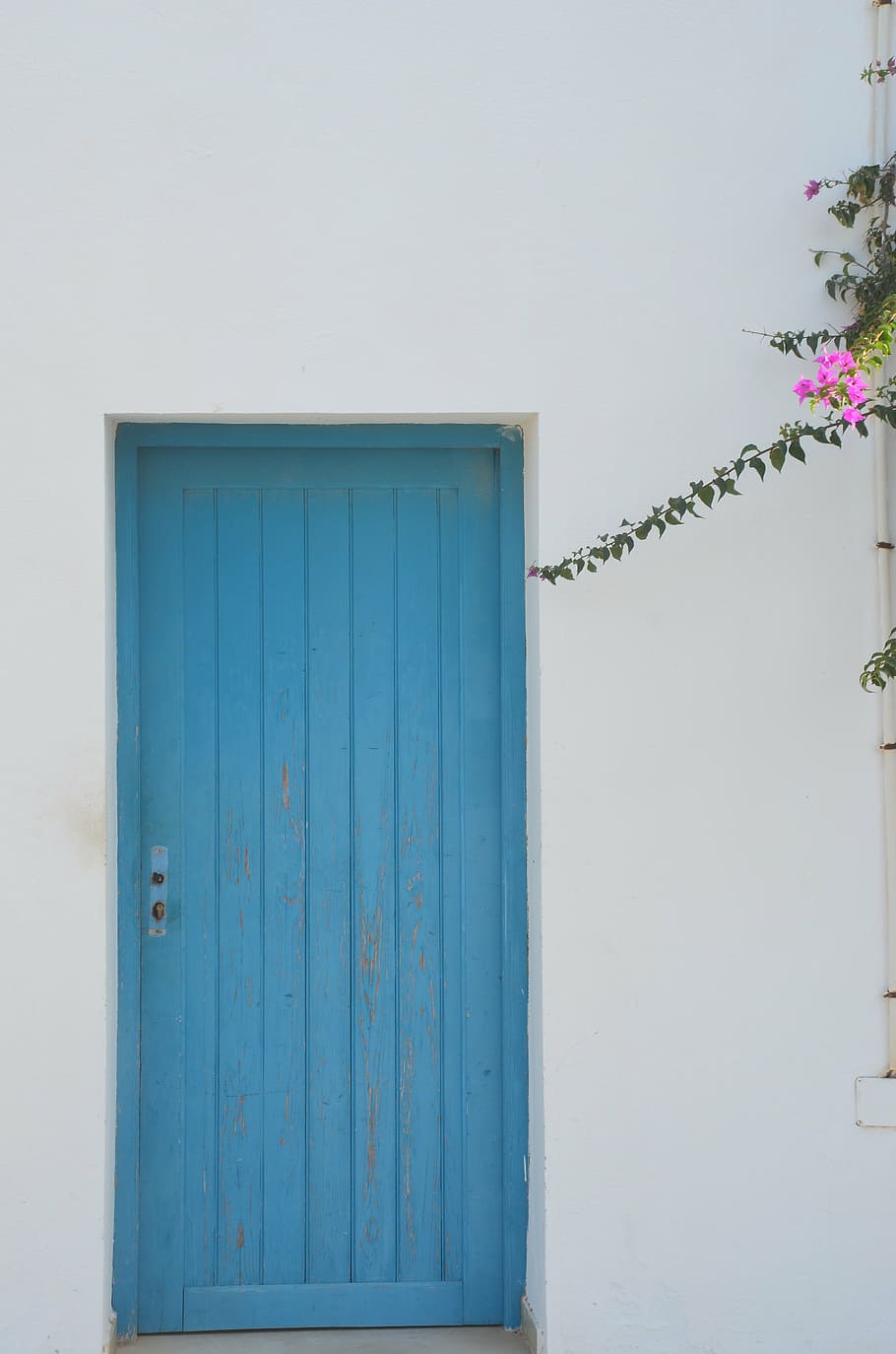 closed, blue, wooden, door, blue white, greece, home, white, flower, architecture