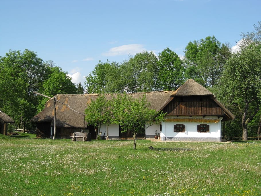 rumah pertanian, pertanian, atap rumput, gorišnica, slovenia, abad ke-18, tanaman, pohon, arsitektur, struktur yang dibangun