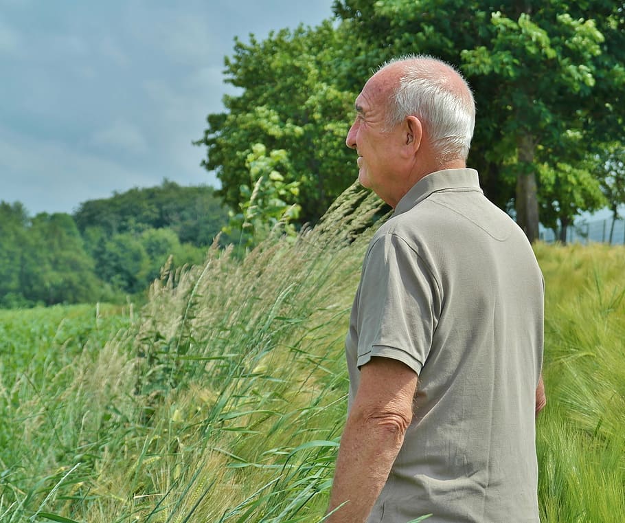 man, wearing, gray, polo shirt, surrounded, grass, person, human, senior, pensioners