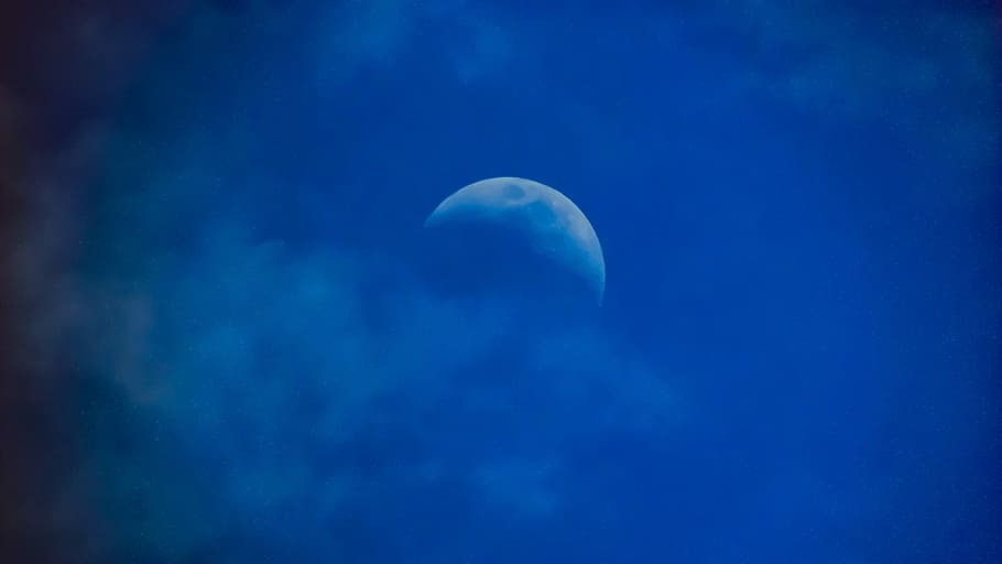 moon, covered, clouds, sky, nature, moon rising, evening, blue, animal themes, one animal