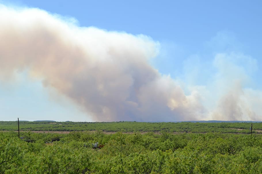 Incendio forestal, fuego, humo, tierra, superficie, cepillo, texas, paisaje, naturaleza, campo