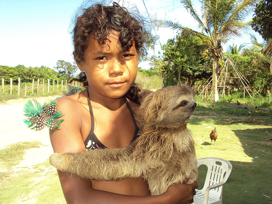 sloth, laziness, india, girl, brazil, bahia, real people, one animal, vertebrate, animal wildlife
