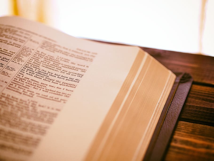 book, reading, study, bible, religion, church, paper, indoors, publication, selective focus