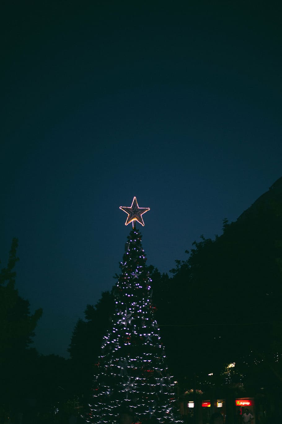 selective, focus photography, turned-on christmas light, night, christmas, light, outside, trees, plant, sky