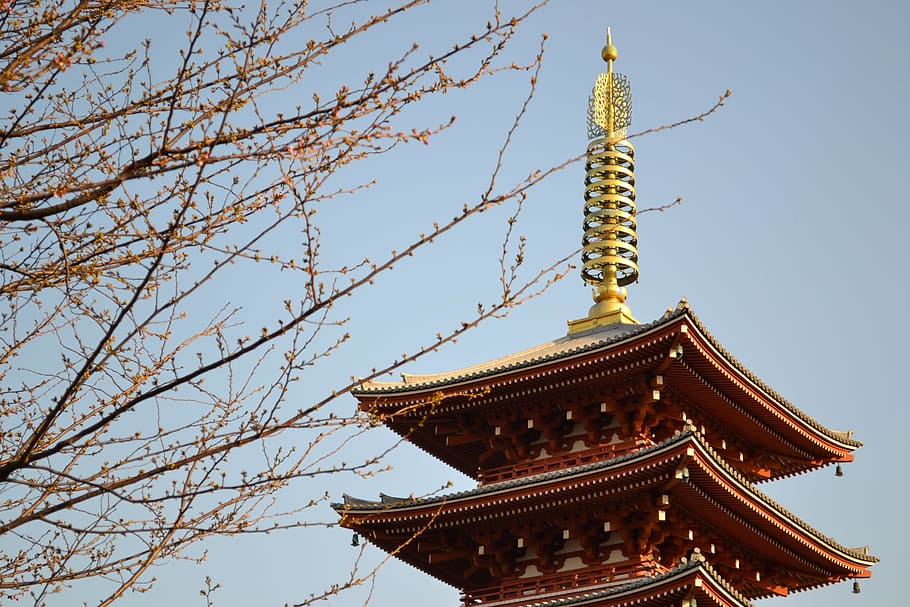 fotografi sudut rendah, kuil pagoda, atas, siang hari, jepang, tokyo, asakusa, asia, perjalanan, candi