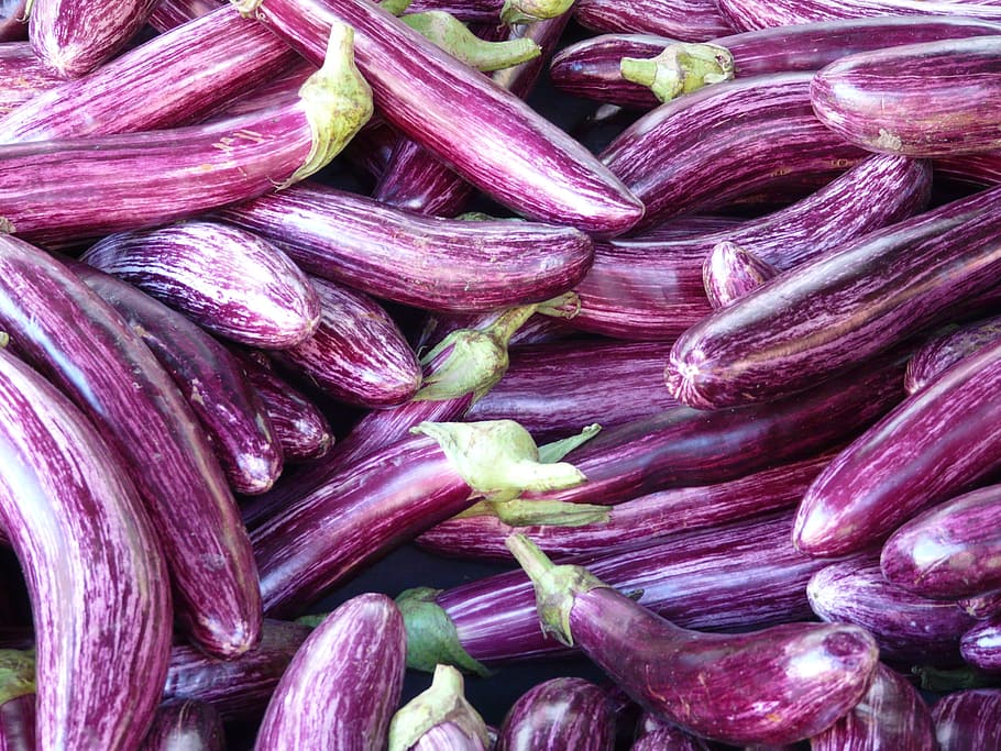 eggplants lot, eggplants, lot, eggplant, mark, purple, violet, striped, solanum melongena, fruit