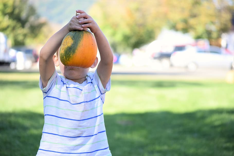 boy, pumpkin, harvest, festival, holiday, halloween, autumn, child, orange, fall